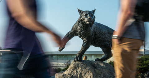 Wildcat statue