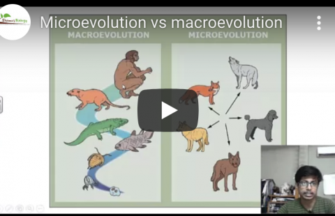 Shomu's BIology youtube video screenshot