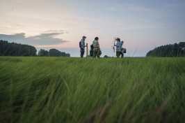 A group of researchers stand in a field of tall grass